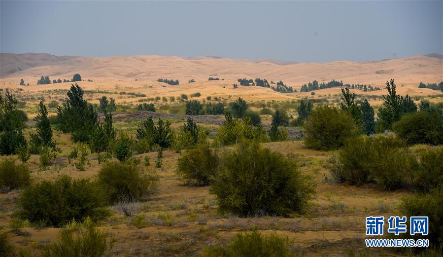 （環(huán)境）（2）庫(kù)布其沙漠披綠裝　