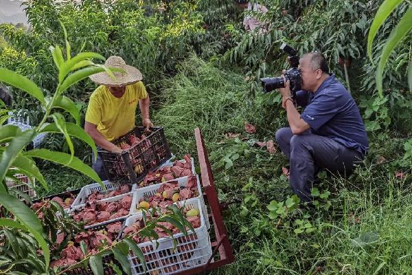 “我是記者”|2020年記者節(jié)特輯