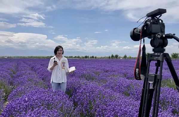 “我是記者”|2020年記者節(jié)特輯