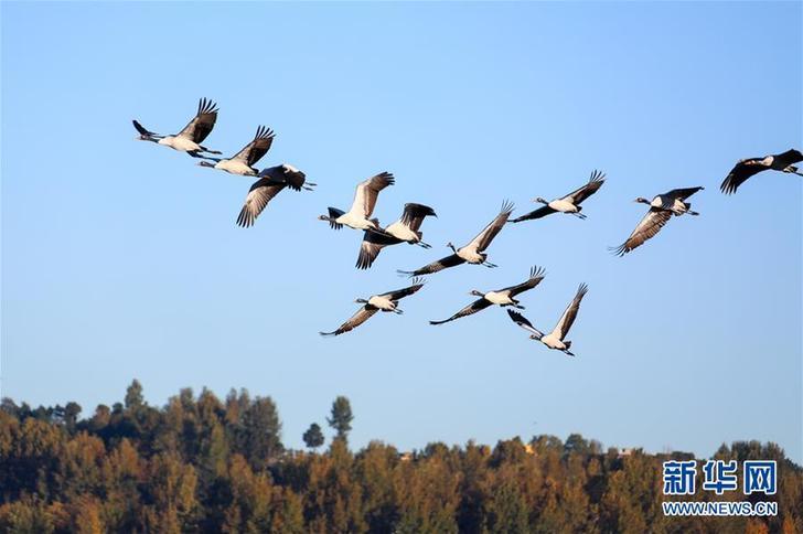 #（環(huán)境）（2）鶴舞草海