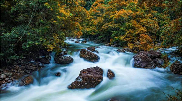 第30屆人民攝影“金鏡頭”（2020年度）新聞攝影作品評選