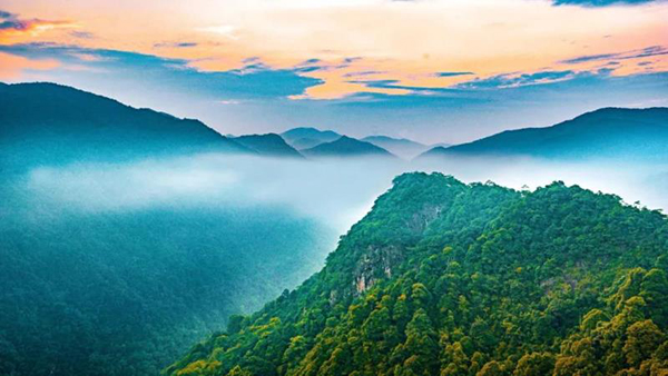 第30屆人民攝影“金鏡頭”（2020年度）新聞攝影作品評選