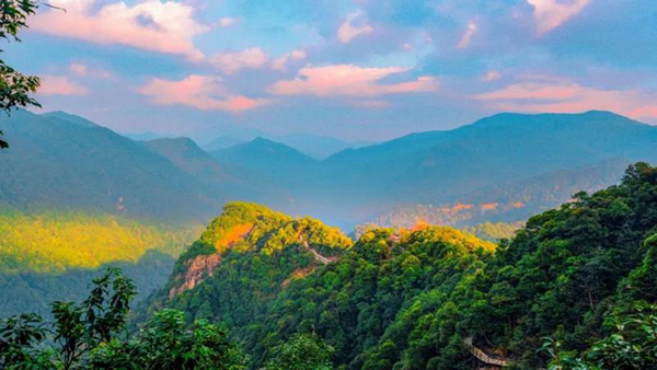 第30屆人民攝影“金鏡頭”（2020年度）新聞攝影作品評選