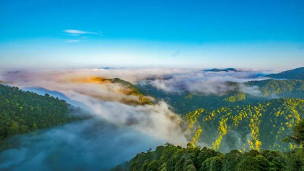 第30屆人民攝影“金鏡頭”（2020年度）新聞攝影作品評選