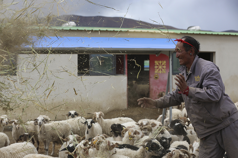 西藏那些打動人心的笑臉