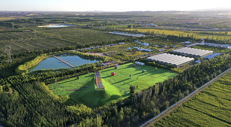 閩寧鎮(zhèn)：荒灘上崛起美麗家園