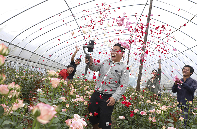 2020年，村播元年