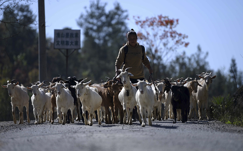 再見，索道 你好，公路
