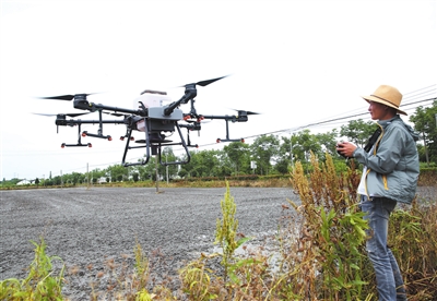 無人機(jī)播種水稻