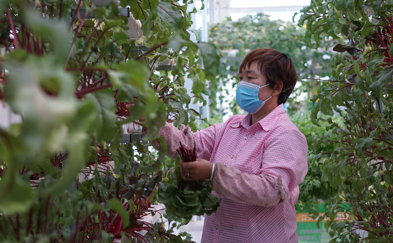 我們的家園——甘肅酒泉