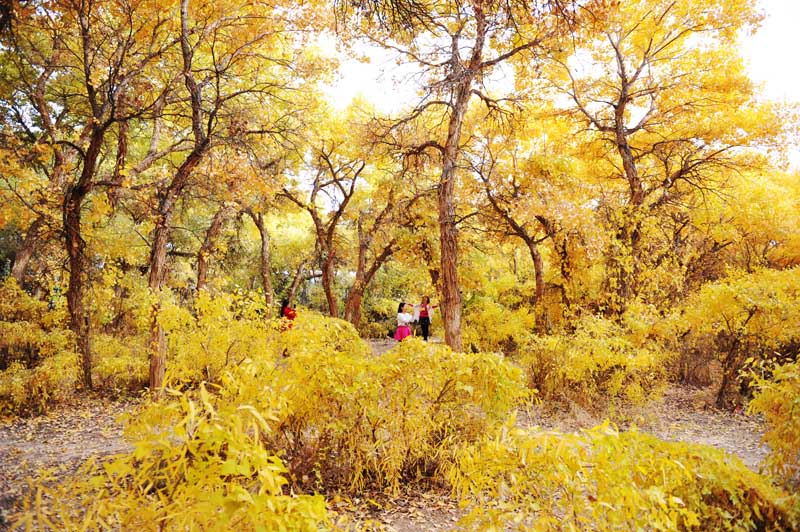 我們的家園——甘肅酒泉