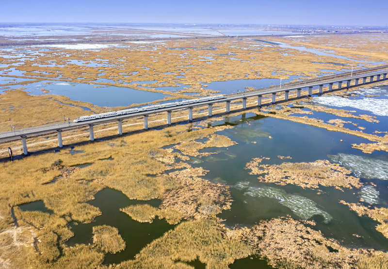 我們的家園——黑龍江大慶