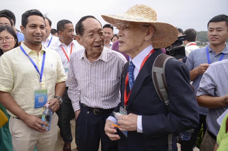 我們的家園——湖南長沙