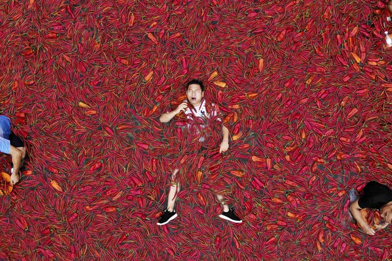 我們的家園——湖南長沙