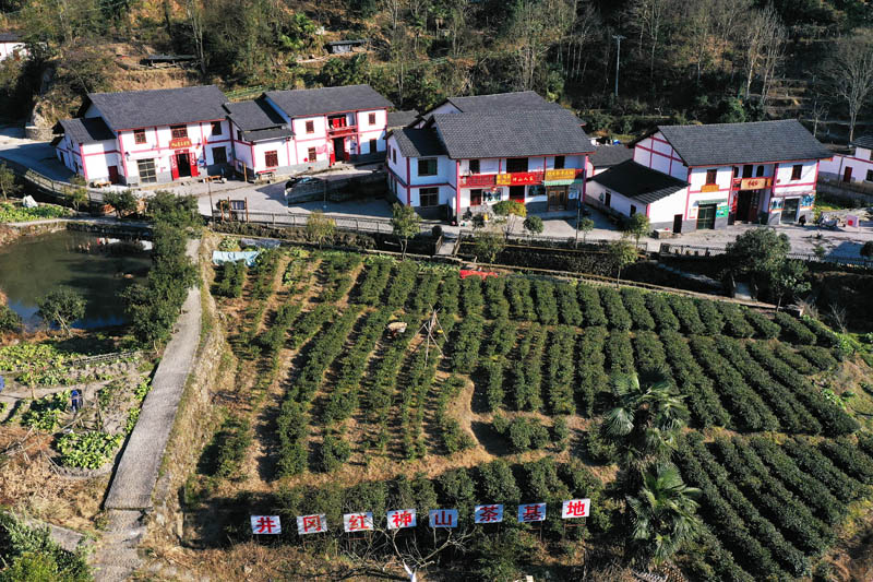 我們的家園——江西井岡山