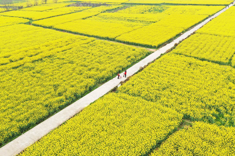 我們的家園——江西南昌