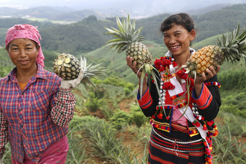 56個(gè)民族一起奔小康