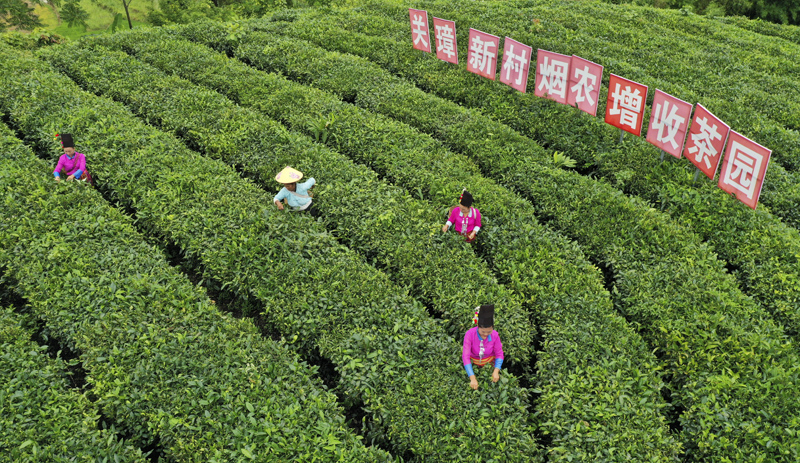 56個(gè)民族一起奔小康