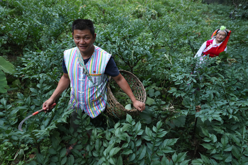 56個(gè)民族一起奔小康