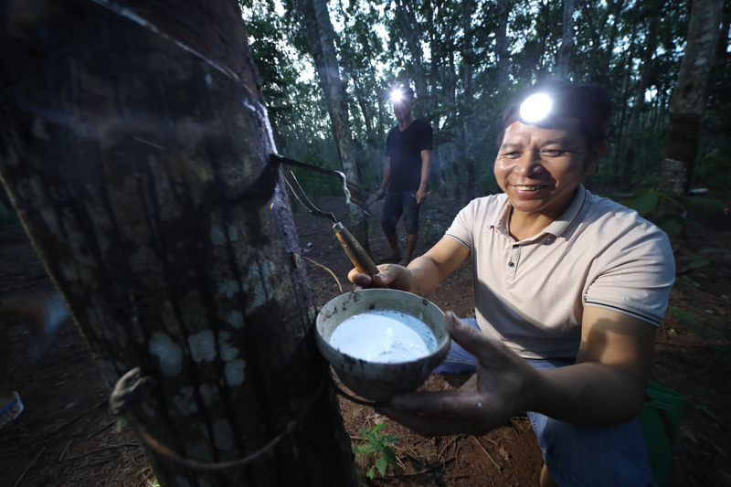 56個(gè)民族一起奔小康