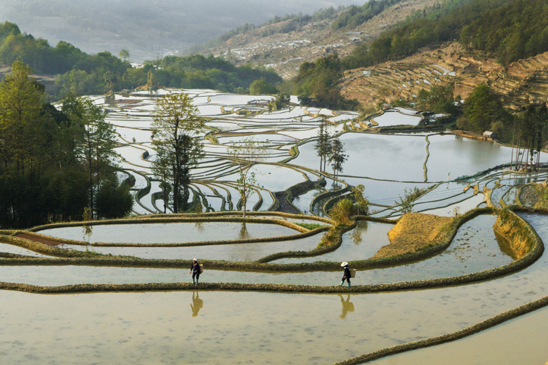 56個(gè)民族一起奔小康