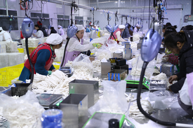 56個(gè)民族一起奔小康