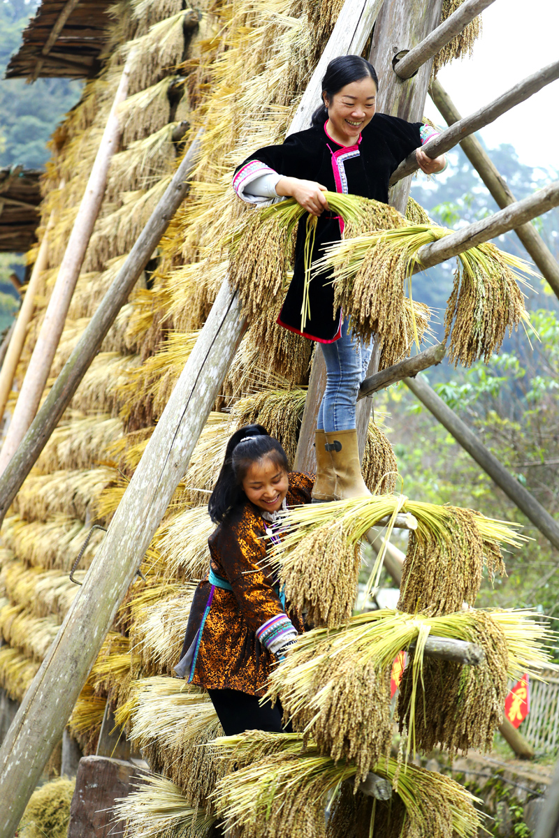 56個(gè)民族一起奔小康