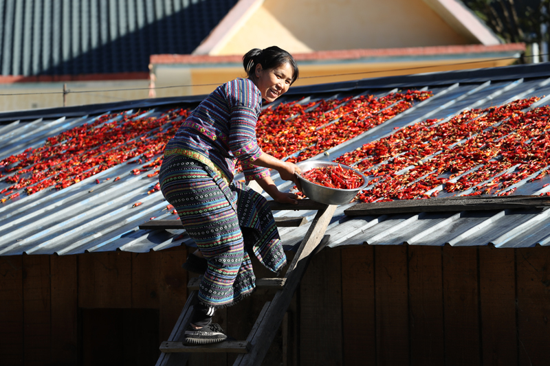 56個(gè)民族一起奔小康