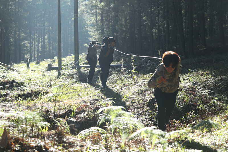 56個(gè)民族一起奔小康
