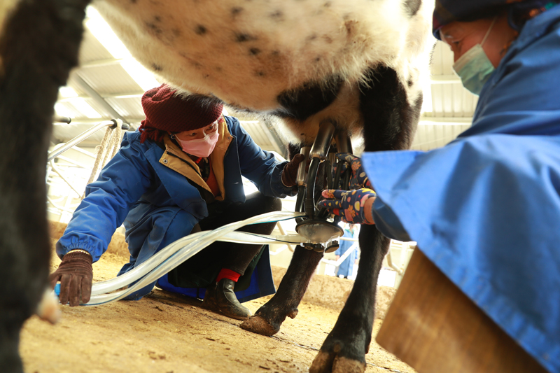 56個(gè)民族一起奔小康