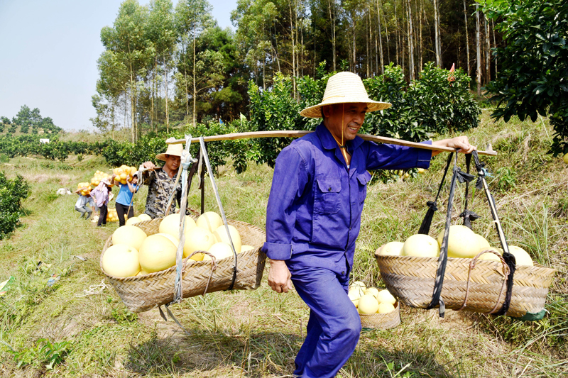 56個(gè)民族一起奔小康