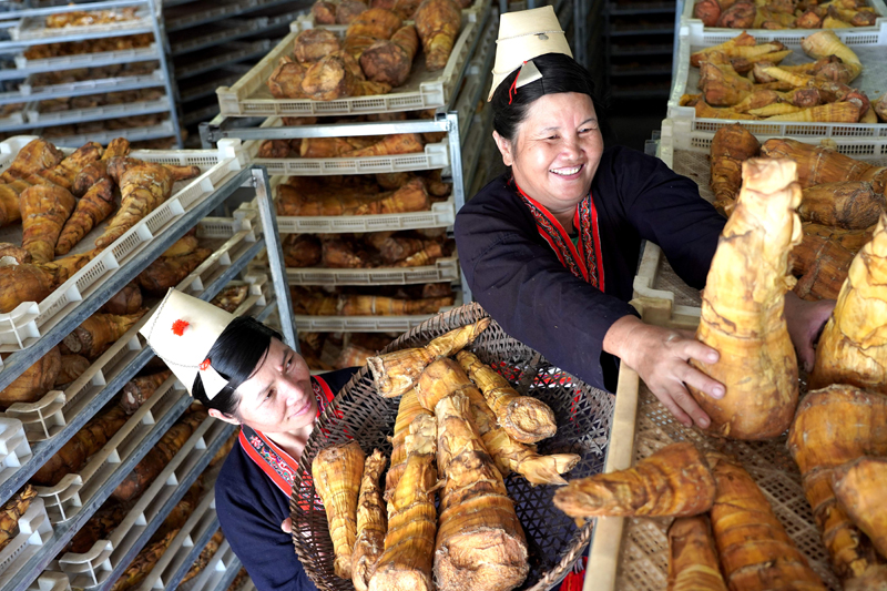 56個(gè)民族一起奔小康