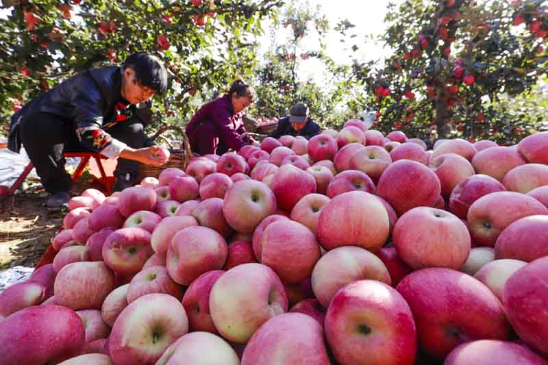 56個(gè)民族一起奔小康