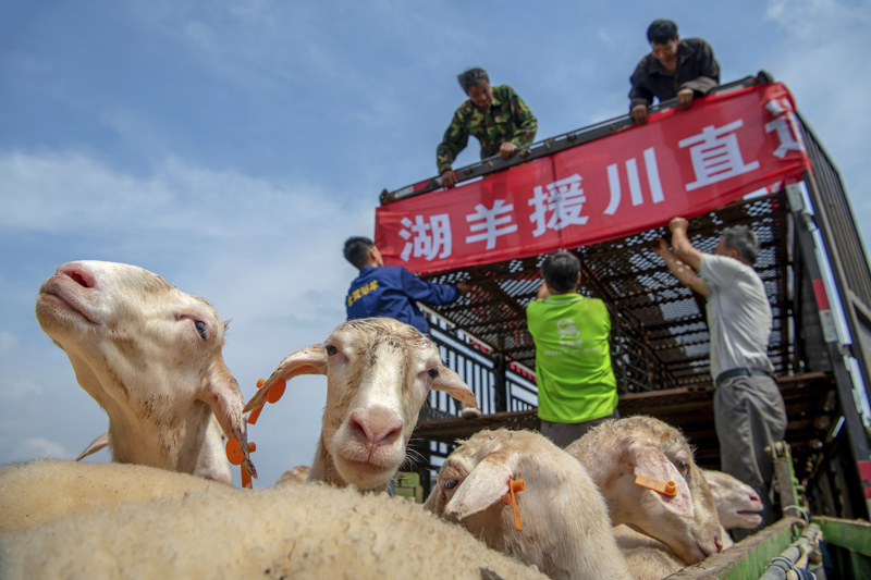 56個(gè)民族一起奔小康