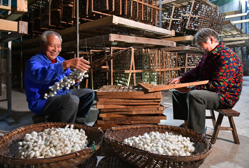 56個(gè)民族一起奔小康