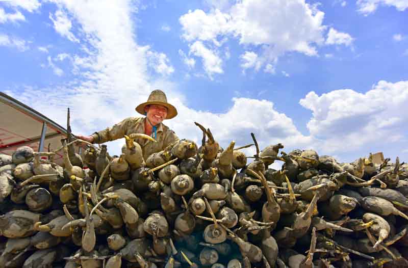 56個(gè)民族一起奔小康