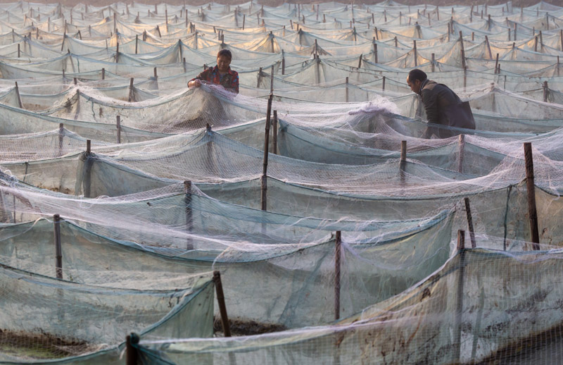 56個(gè)民族一起奔小康