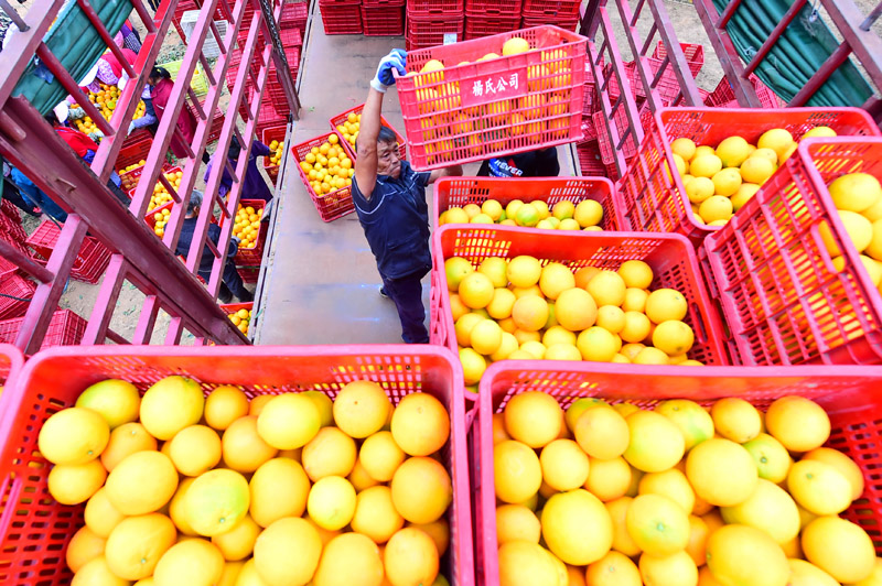 56個(gè)民族一起奔小康