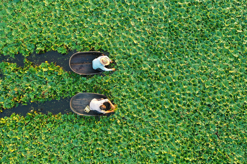 56個(gè)民族一起奔小康