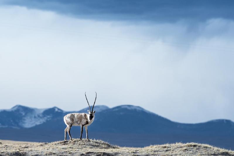 紅色記憶-珍貴瞬間