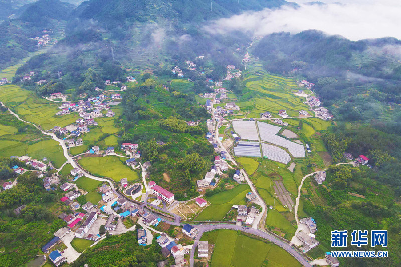 【“飛閱”中國】秋日田園稻花香