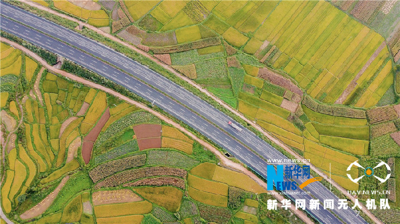 珠源大地盡染豐收色彩