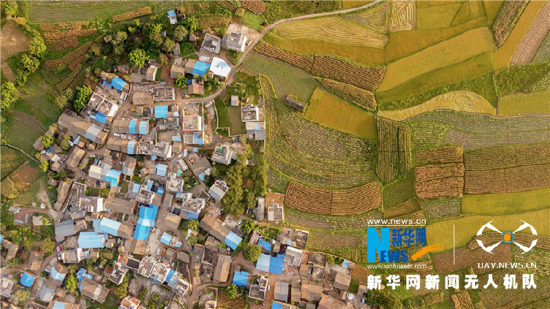 珠源大地盡染豐收色彩