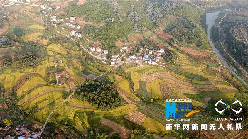 珠源大地盡染豐收色彩