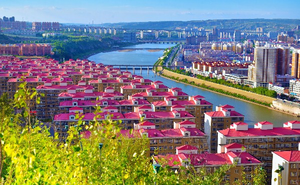 金鏡頭征稿｜“神奇神木”杯人民攝影“ 金鏡頭”（2021 年度）新聞攝影作品評選啟動