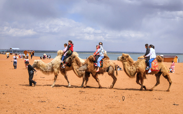 金鏡頭征稿｜“神奇神木”杯人民攝影“ 金鏡頭”（2021 年度）新聞攝影作品評選啟動