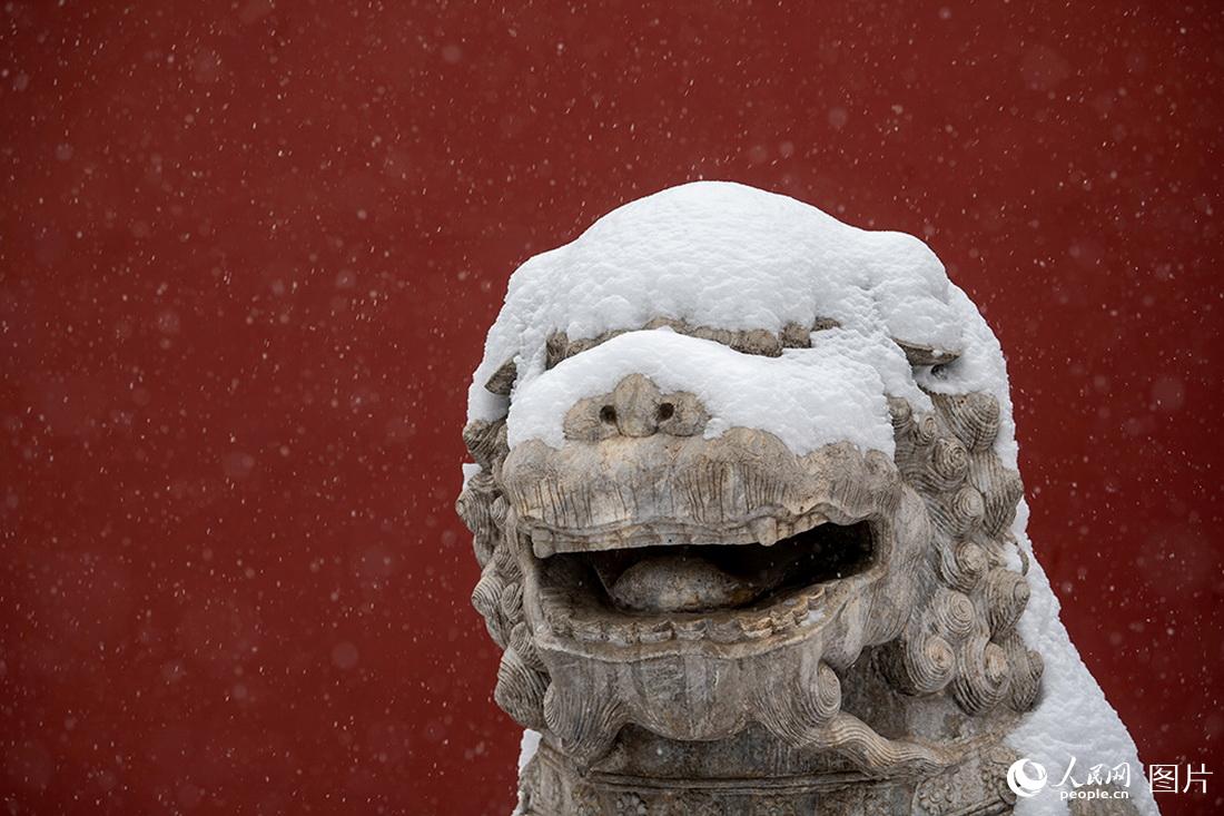2月13日，景山公園，被白雪覆蓋的石獅，憨態(tài)可掬。人民網(wǎng)翁奇羽攝
