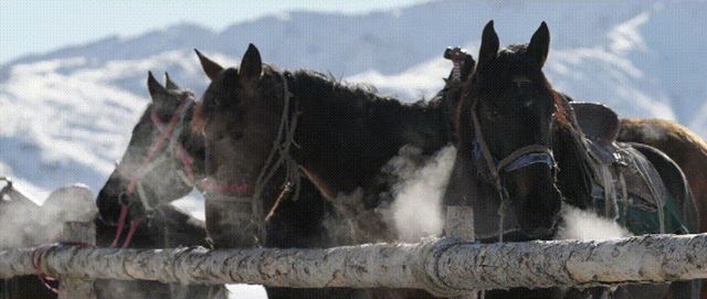 劉湘晨和FX6的創(chuàng)作故事：紀錄片美學所需的技術條件