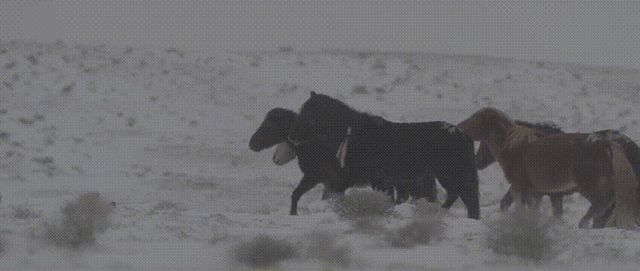 劉湘晨和FX6的創(chuàng)作故事：紀錄片美學所需的技術條件