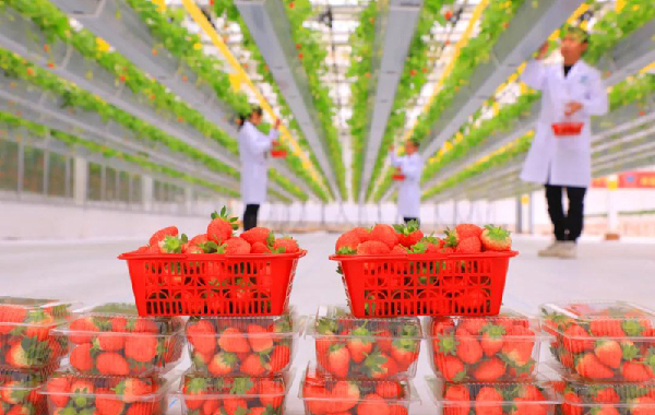 “中國銀行杯”全國經(jīng)濟新聞攝影作品征集開始啦！